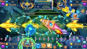 33gd